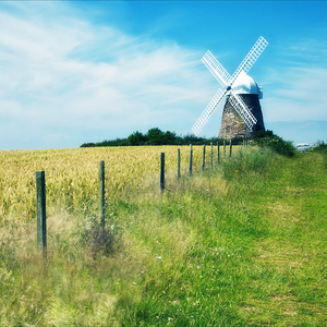 乌克兰性爱在线观看
