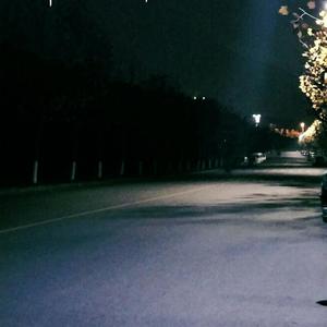 乌克兰性爱在线观看
